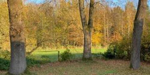 Foto - Wochenendhaus mit Garten im Grünen