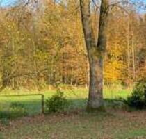 Wochenendhaus mit Garten im Grünen - Plön
