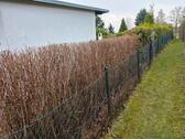 Foto - Garten zur Pacht - 1.000,00&nbsp;EUR Kaltmiete, ca.&nbsp; 0,00&nbsp;m&sup2;