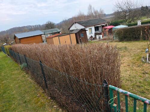 Foto - Grundst&uuml;ck zur Miete in Bischofswerda