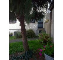 Provisionfrei, 1-Zi Apartment, renoviert, ruhig zum Innenhof - Siegen