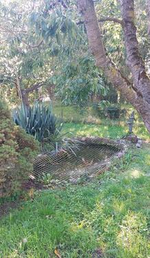 Foto - Doppelhaushälfte in Strasburg (Uckermark) zum Kaufen