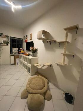 Foto - ‼️ANFRAGESTOPP‼️Moderne 2 Zimmerwohnung in Völksen