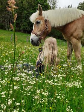 Foto - andere in Lennestadt zur Miete