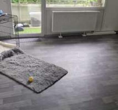 Foto - 3 Zimmer Etagenwohnung in Kusel