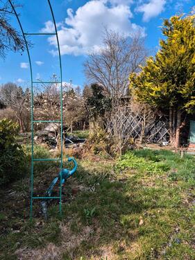 Foto - Grundst&uuml;ck in Oelsnitz (Erzgebirge) zur Miete