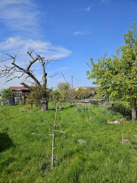 Foto - Kleingarten in Gerichshain - 2.000,00&nbsp;EUR Kaltmiete, ca.&nbsp; 0,00&nbsp;m&sup2;