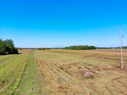 Foto - Grundstück in Lahr (Schwarzwald)