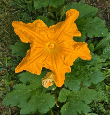 Foto - Erdgeschoßwohnung in Hamburg zur Miete