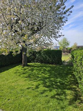 Foto - Grundst&uuml;ck in Machern zur Miete