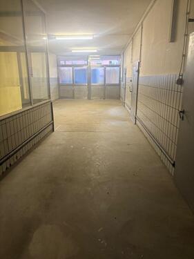 Foto - Lagerhalle zu vermieten - 2.135,00 EUR Kaltmiete,