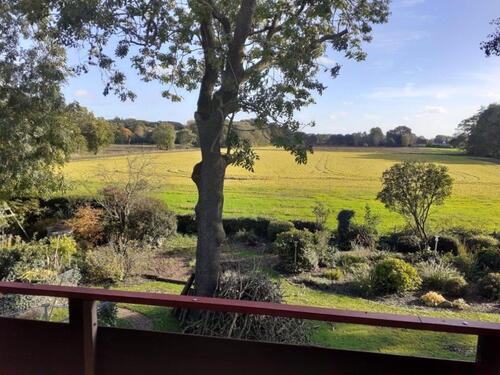 Foto - Großzügige 2-Zimmer Single-Wohnung