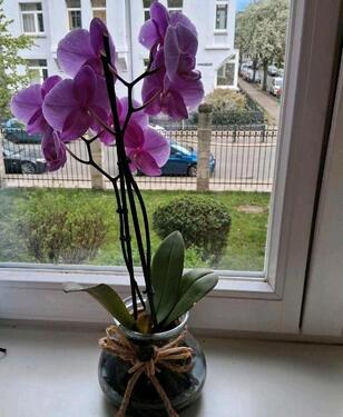 Foto - Schöne 1-Zimmer-Wohnung in einem Studentenwohnheim