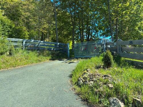 Foto - 