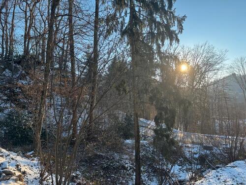 Foto - 2 Zimmer Einfamilienhaus in Badenweiler