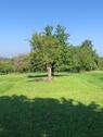Foto - Obstbaumwiese Neckarweihingen - 7.500,00 EUR Kaltmiete, ca.  0,00 m²