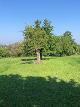 Foto - Obstbaumwiese Neckarweihingen - ca.  0,00 m²