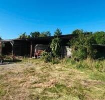 Selbstversorgerstall Offenstall Pferdebox - Brandenburg an der Havel Bahnhofsvorstadt