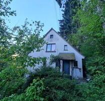 Einfamilienhaus mit Sanierungsbedarf, großem Grundstück in 69250 - Schönau
