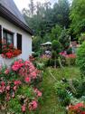Foto - 4 Zimmer Einfamilienhaus zum Kaufen in Greiz