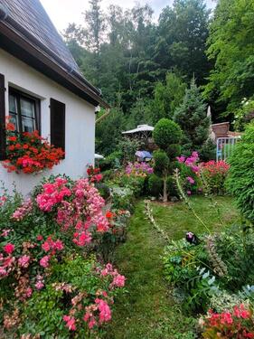 Foto - 4 Zimmer Einfamilienhaus zum Kaufen in Greiz