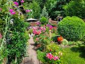 Foto - 4 Zimmer Einfamilienhaus in Greiz