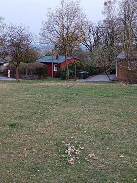 Foto - Tiny House Häuschen im Grünen auf 417 m² Grundstück in Brakel