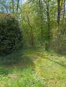 Foto - Einfamilienhaus in Brakel zum Kaufen
