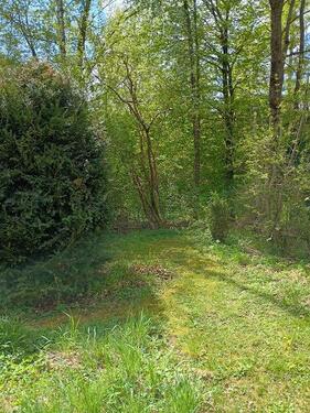 Foto - Einfamilienhaus in Brakel zum Kaufen
