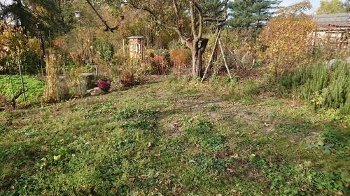 Foto - Grundst&uuml;ck in Dresden