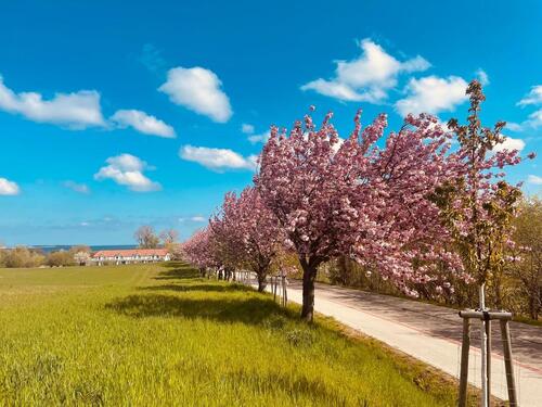 Foto - andere zur Miete in Gägelow