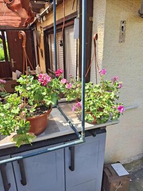 Foto - Grundst&uuml;ck in Freital