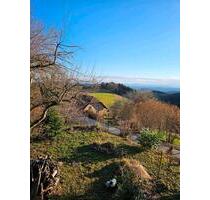 2,5 Zimmer Wohnung - 750,00&nbsp;EUR Kaltmiete, ca.&nbsp; 75,00&nbsp;m&sup2; in Steinen (PLZ: 79585)