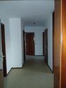 Foto - Schöne helle 4 ZKB Wohnung mit KFZ Stellplatz in Oggersheim