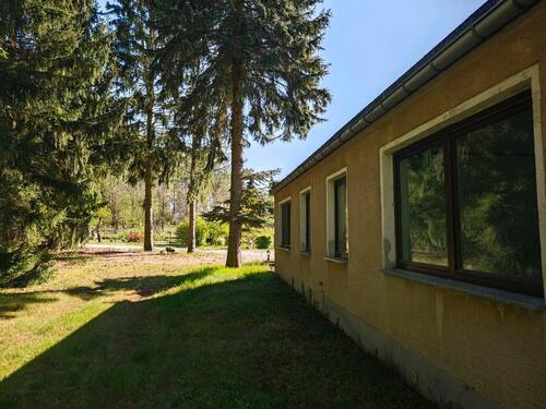 Foto - 3 Zimmer Bungalow in Coswig (Anhalt)