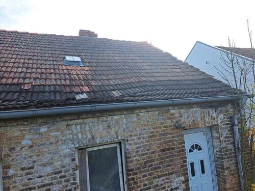 Foto - Einfamilienhaus in Milower Land zum Kaufen