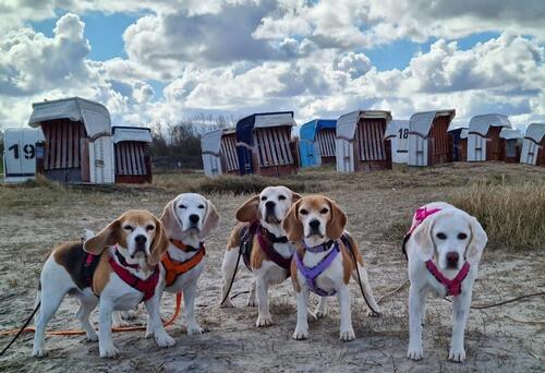 Foto - andere in Wilhelmshaven