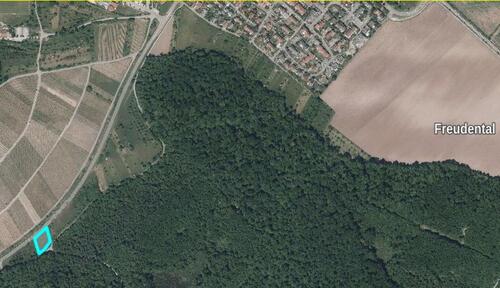 Foto - Obstbaumwiese 'Heinzenberg' KleinsachsenheimFreudental