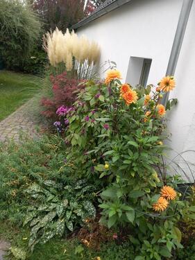 Foto - dresden ferienhaus ferienwohnung miete