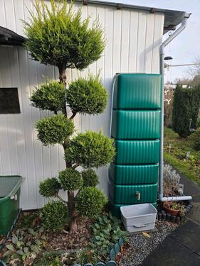 Foto - Grundstück zur Miete in Weißwasser (Oberlausitz)