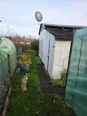 Foto - Grundstück in Weißwasser (Oberlausitz) zur Miete