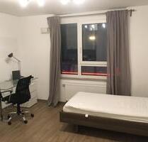 möblierte 1-Zimmer Studentenwohnung zentral - Nürnberg Gibitzenhof