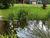 Foto - 5 Zimmer Einfamilienhaus in Ludwigsburg