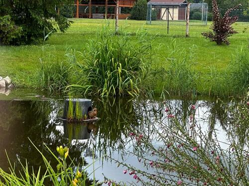 Foto - 5 Zimmer Einfamilienhaus in Ludwigsburg