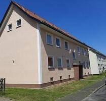 Wohnung in Walsrode 42m2 ab sofort zu vermieten