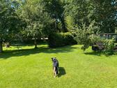 Foto - Ferienwohnung - 65,00 EUR Kaltmiete,