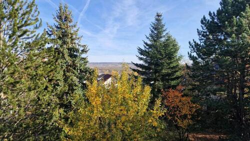 Foto - Einfamilienhaus in Münster-Sarmsheim zum Kaufen