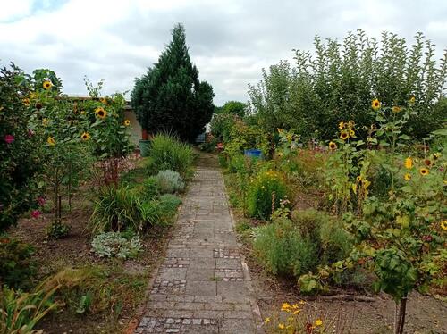 Foto - Pachtgarten nahe Gartenstadt Nietleben