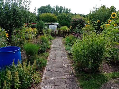 Foto - Grundst&uuml;ck in Halle (Saale) zur Miete