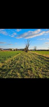 Foto - GARTENGRUNDSTÜCK ZU VERMIETEN - 35,00 EUR Kaltmiete, ca.  0,00 m²